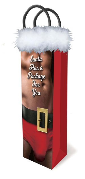 Santa Has a Big Package for You LG-LGP025